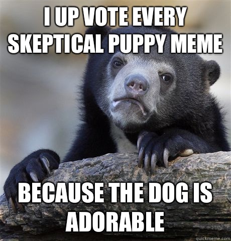 I up vote every skeptical puppy meme Because the dog is ador - Confession Bear