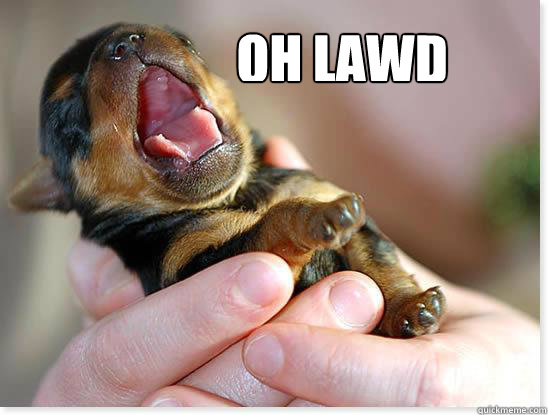 oh lawd - religiousdog