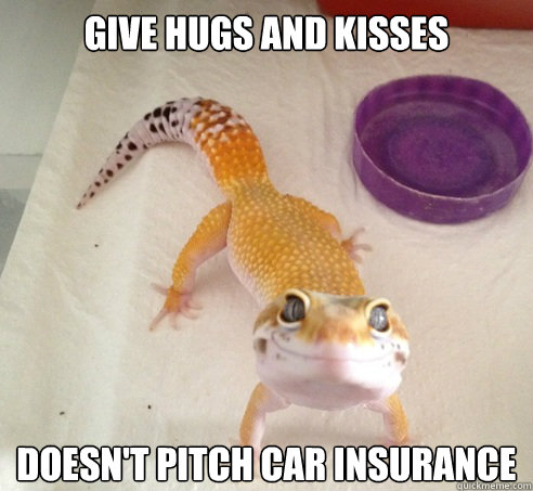 gecko car insurance