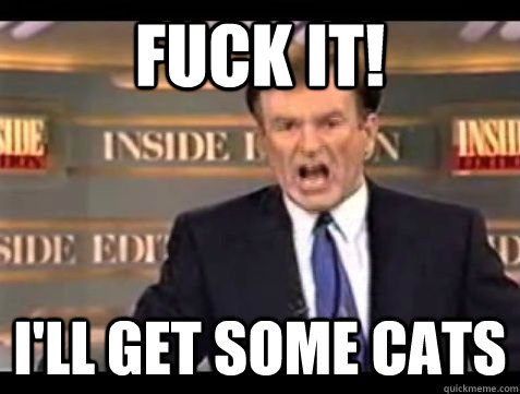 fuck it ill get some cats - Bill OReilly Rant