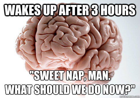 wakes up after 3 hours sweet nap man what should we do n - Scumbag Brain