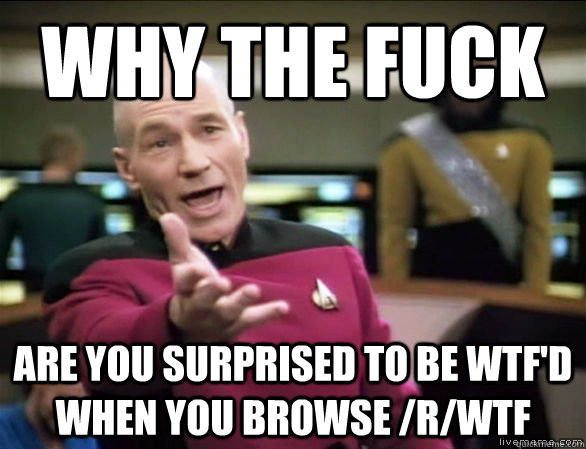 why the fuck are you surprised to be wtfd when you browse - Annoyed Picard HD
