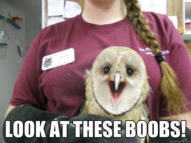 look at these boobs -