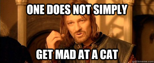 one does not simply get mad at a cat - One Does Not Simply