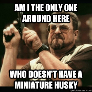 am i the only one around here who doesnt have a miniature h - Am I The Only One Round Here