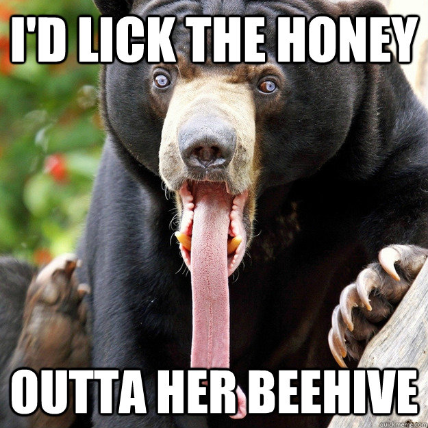 id lick the honey outta her beehive - The One With The Black Bear With The Really Long Tongue