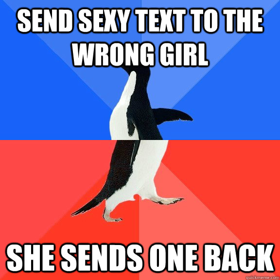send sexy text to the wrong girl she sends one back - Socially Awkward Awesome Penguin