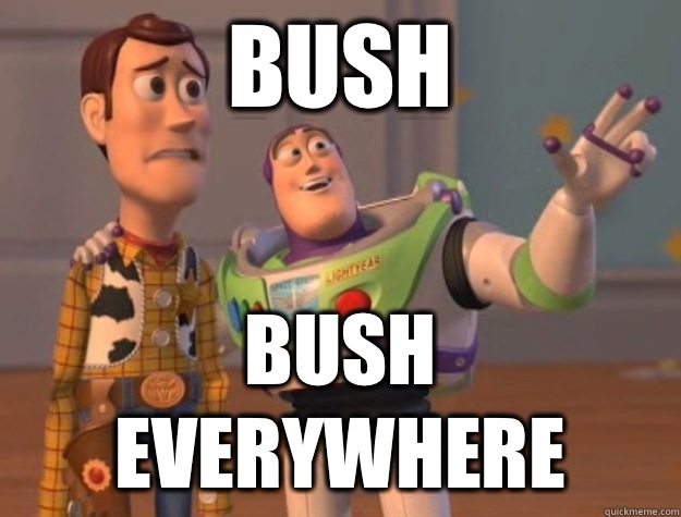 Bush Bush everywhere - Buzz Lightyear