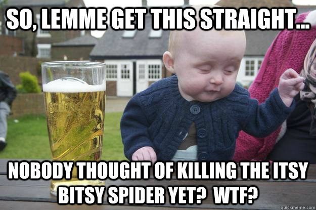 so lemme get this straight nobody thought of killing the - Drunk Baby