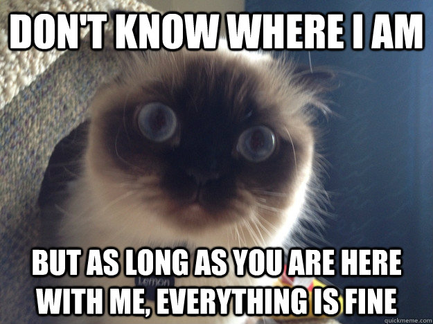 dont know where i am but as long as you are here with me e - Needy Cat