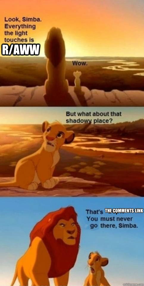 raww the comments link - Everything the Light Touches