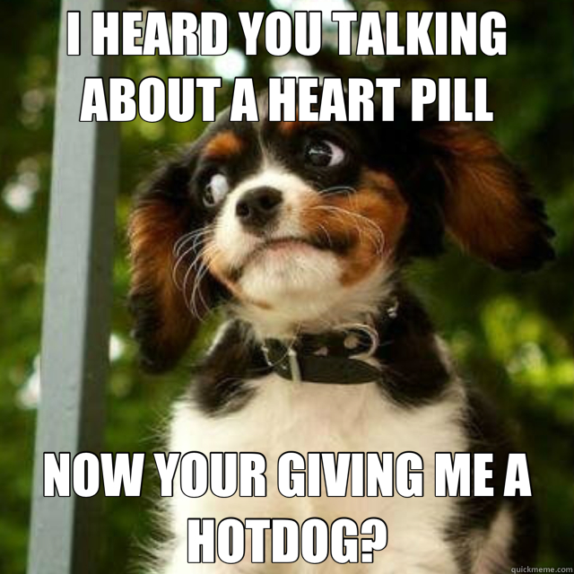 I HEARD YOU TALKING ABOUT A HEART PILL NOW YOUR GIVING ME A - suspicious puppy