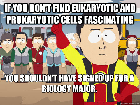if you dont find eukaryotic and prokaryotic cells fascinati - Captain Hindsight
