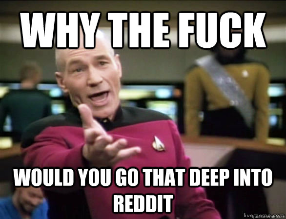 why the fuck would you go that deep into reddit - Annoyed Picard HD