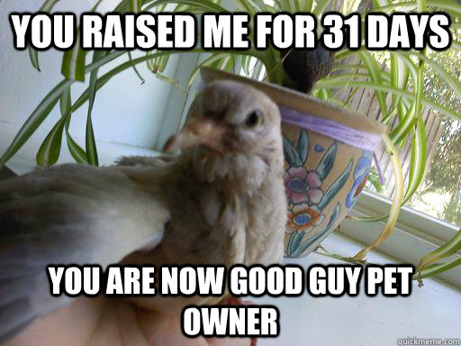 you raised me for 31 days you are now good guy pet owner -