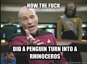 how the fuck did a penguin turn into a rhinoceros - Annoyed Picard