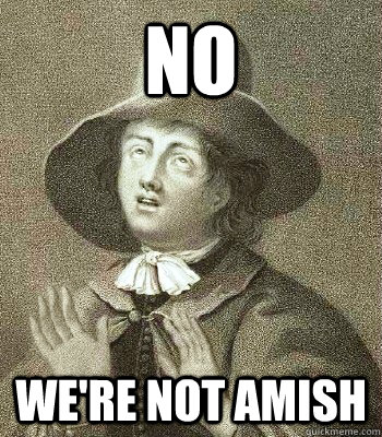 no were not amish - Quaker Problems