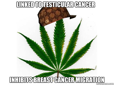 linked to testicular cancer inhibits breast cancer migration - Scumbag Marijuana