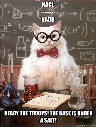nacl naoh ready the troops the base is under a sal - Chemistry Cat