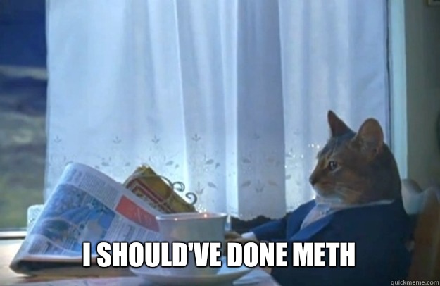 I shouldve done meth - Sophisticated Cat