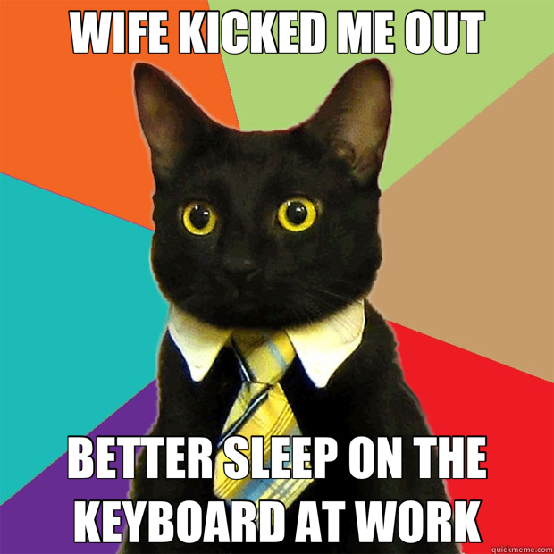 WIFE KICKED ME OUT BETTER SLEEP ON THE KEYBOARD AT WORK - Business Cat