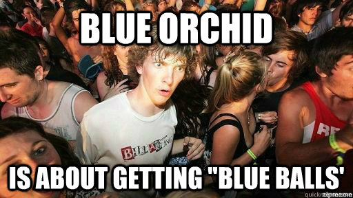 blue orchid is about getting blue balls - Suddenly Clarity Clarence