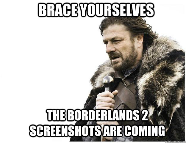 brace yourselves the borderlands 2 screenshots are coming - Imminent Ned