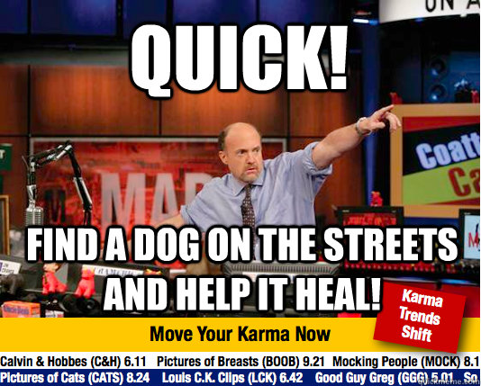 quick find a dog on the streets and help it heal - Mad Karma with Jim Cramer