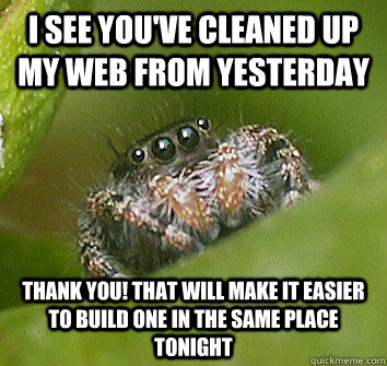 i see youve cleaned up my web from yesterday thank you tha - Misunderstood Spider