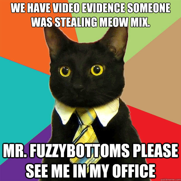 we have video evidence someone was stealing meow mix mr fu - Business Cat