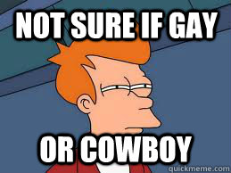 not sure if gay or cowboy - Fry futurama