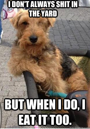 i dont always shit in the yard but when i do i eat it too - Most Interesting Dog in the World