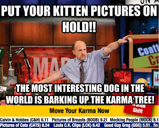 put your kitten pictures on hold the most interesting dog - Mad Karma with Jim Cramer