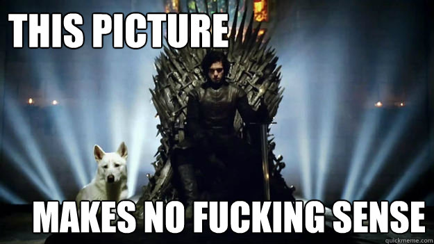this picture makes no fucking sense -