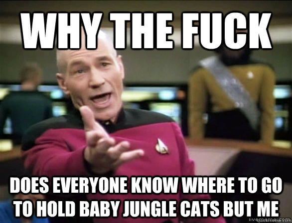 why the fuck does everyone know where to go to hold baby jun - Annoyed Picard HD