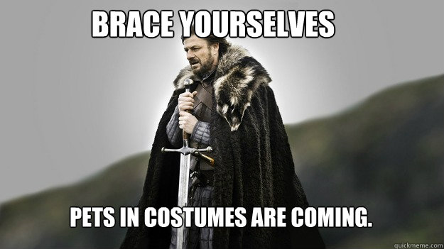 brace yourselves pets in costumes are coming - Ned stark winter is coming