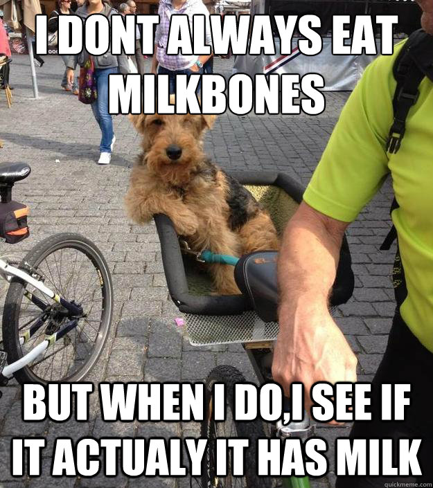 i dont always eat milkbones but when i doi see if it actua - The Most Interesting Dog in the World