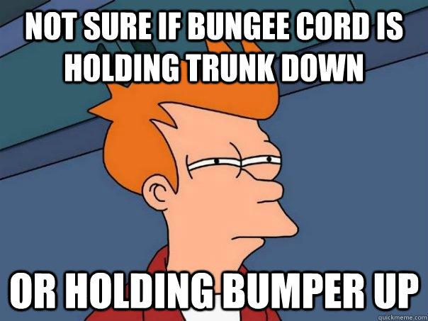 not sure if bungee cord is holding trunk down or holding bum - Futurama Fry