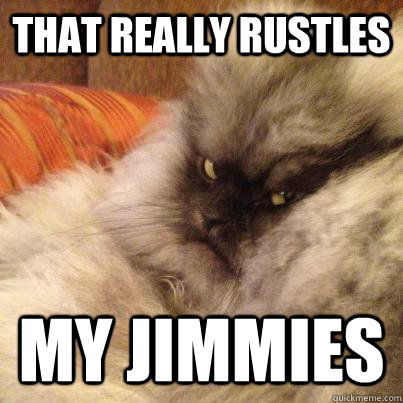 that really rustles my jimmies -