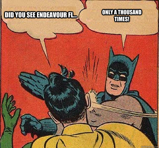 did you see endeavour fl only a thousand times - Batman and Robin