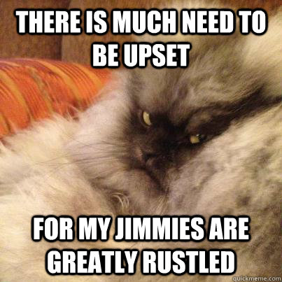 there is much need to be upset for my jimmies are greatly ru - Angriest Cat