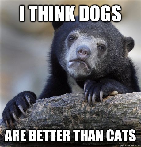 I think dogs Are better than cats - Confession Bear