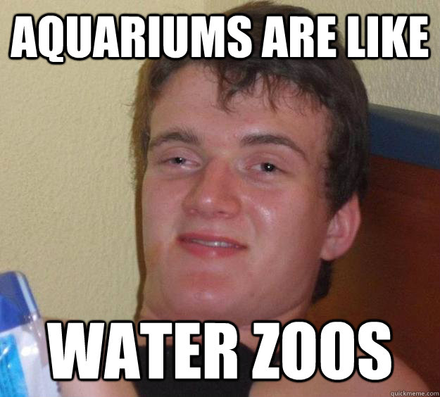 aquariums are like water zoos - 10 Guy