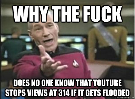 why the fuck does no one know that youtube stops views at 31 - ANNOYED PICARD