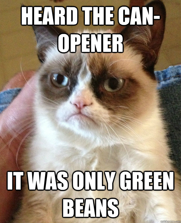 heard the canopener it was only green beans - Grumpy Cat