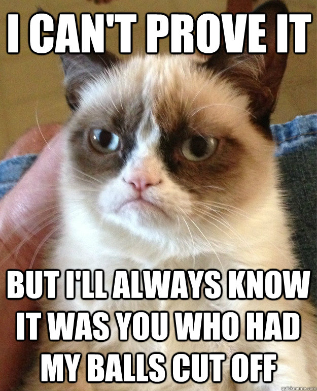 i cant prove it but ill always know it was you who had my - Grumpy Cat