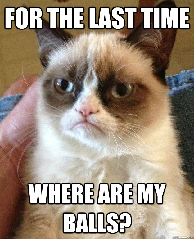 for the last time where are my balls - cat had fun once