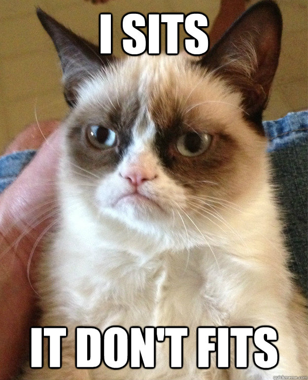 i sits it dont fits - Grumpy cat