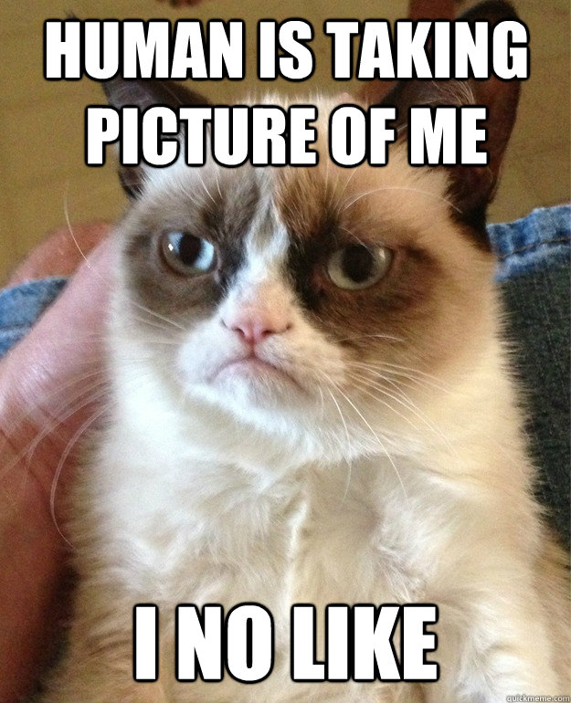 human is taking picture of me i no like - Grumpy Cat