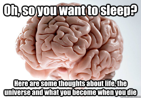 oh so you want to sleep here are some thoughts about life - Scumbag Brain